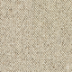 Discovery Carpet