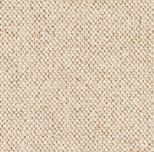 Discovery Carpet