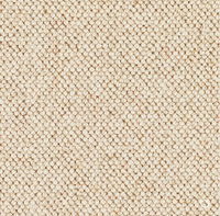 Discovery Carpet