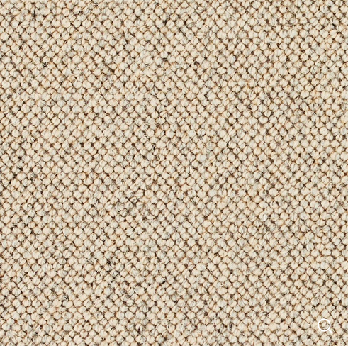 Discovery Carpet