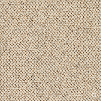 Discovery Carpet