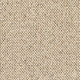 Discovery Carpet