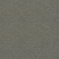 Spectrum Twist Classic 42oz Carpet
