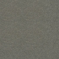 Spectrum Twist Regal 53oz Carpet