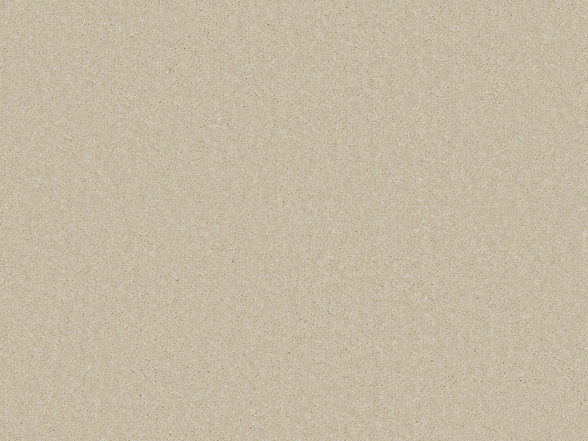 Chic Carpet