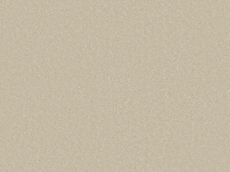 Chic Carpet
