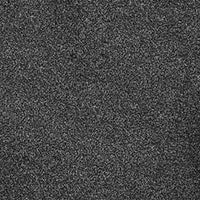 Invictus Darius 50oz Carpet