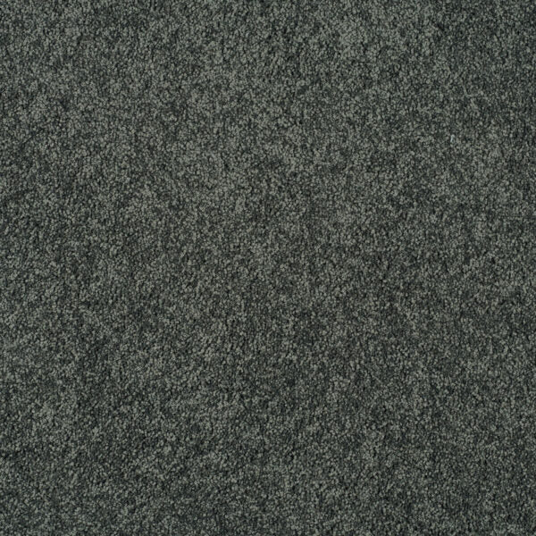 Magical Feeling Carpet
