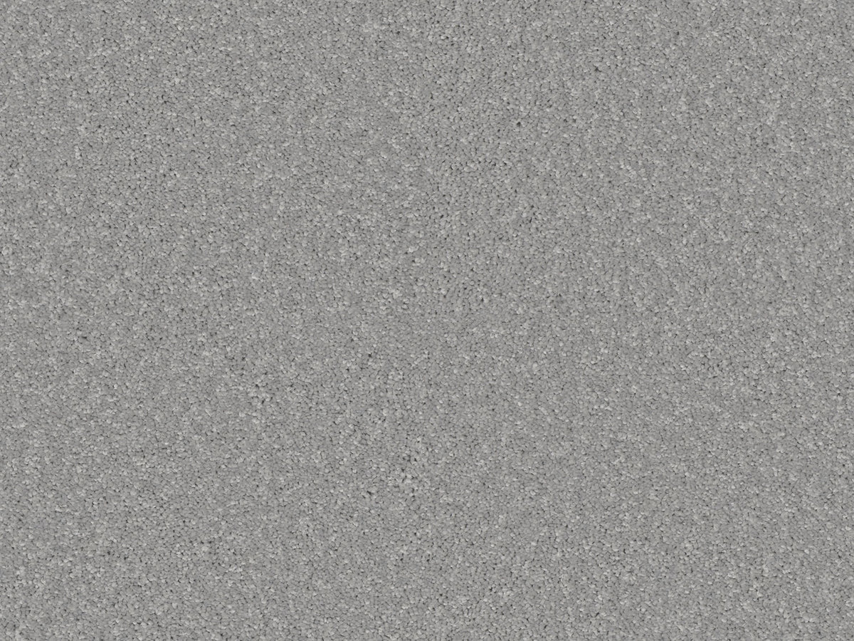 Elegante Carpet