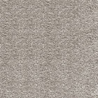 Sirius Carpet