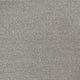 Invictus Darius 50oz Carpet