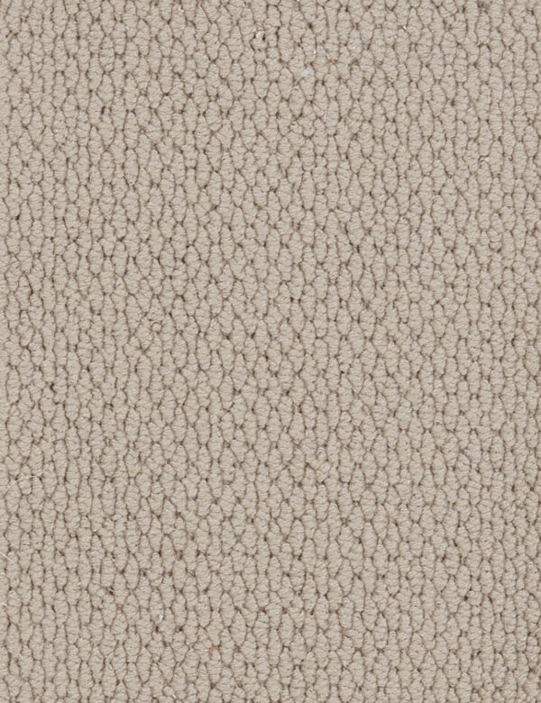 Altere Carpet
