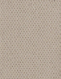 Altere Carpet