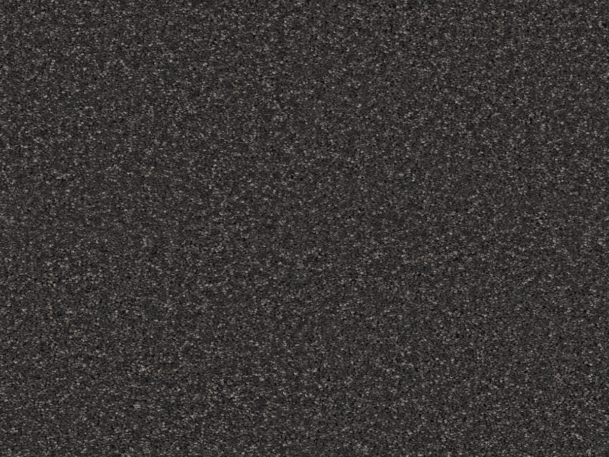 Elegante Carpet