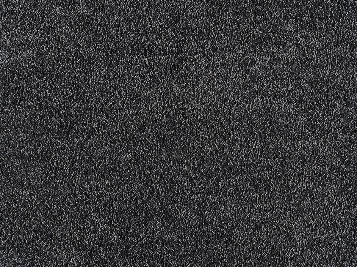 Embrace Carpet