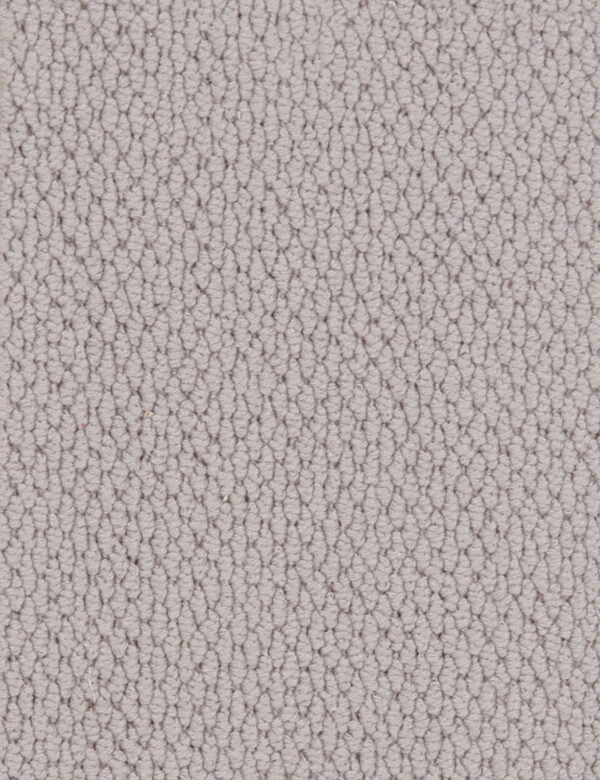 Altere Carpet