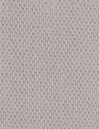 Altere Carpet