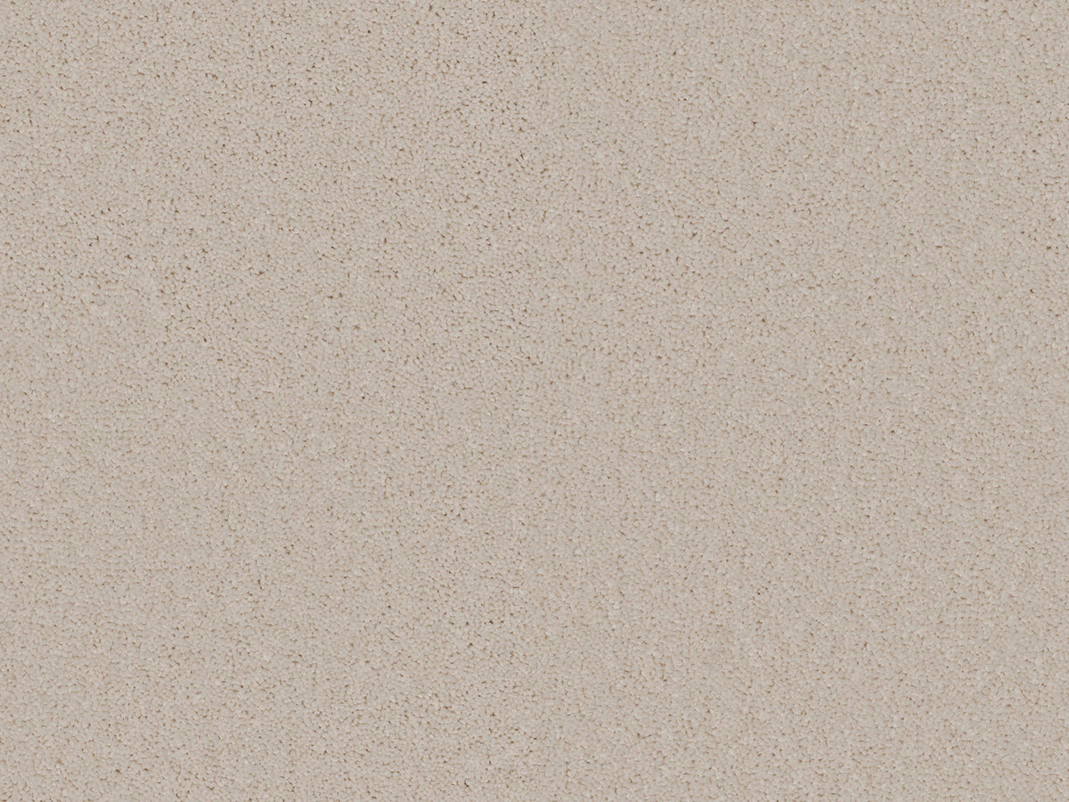 Elegante Carpet