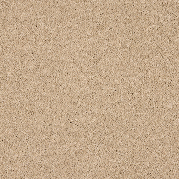 Seduction Carpet