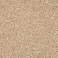 Seduction Carpet