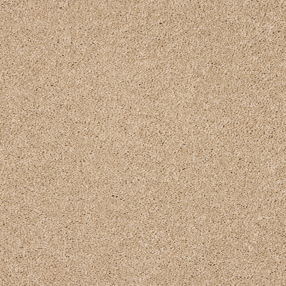 Opulent Living Carpet