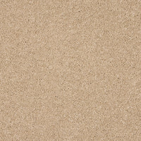 Opulent Living Carpet