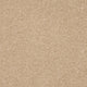 Opulent Living Carpet
