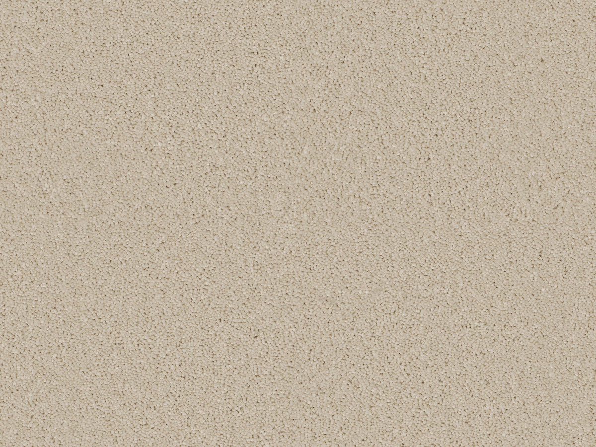 Elegante Carpet