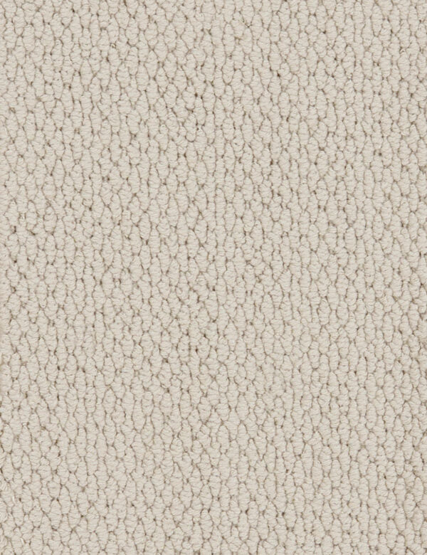 Altere Carpet