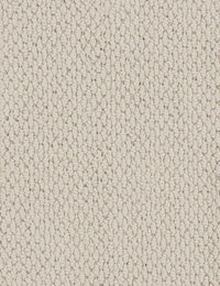 Altere Carpet