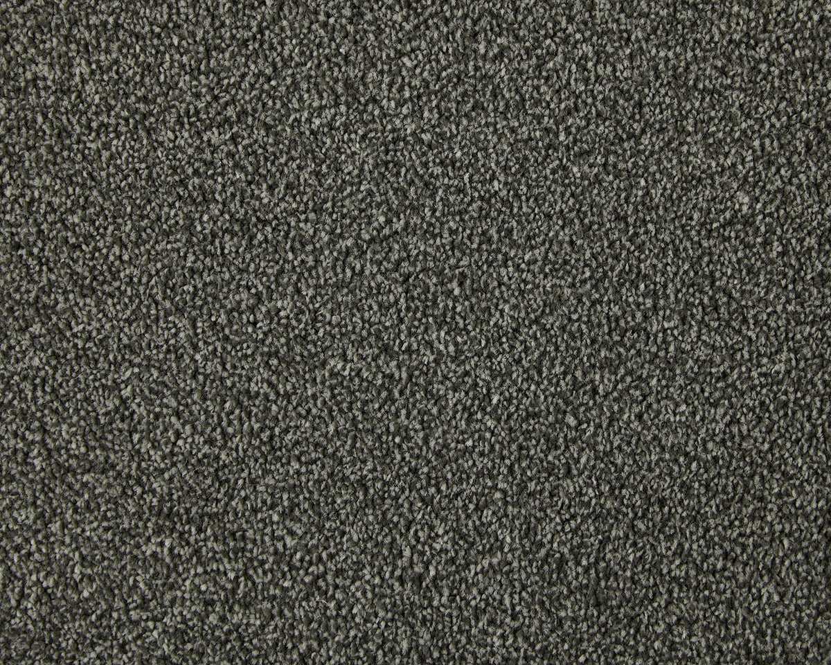 Trojan Elite Carpet