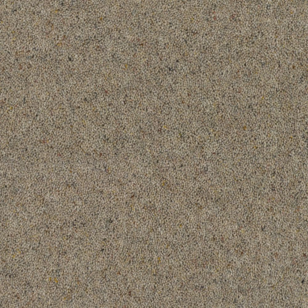Glen Dullan 57oz Carpet