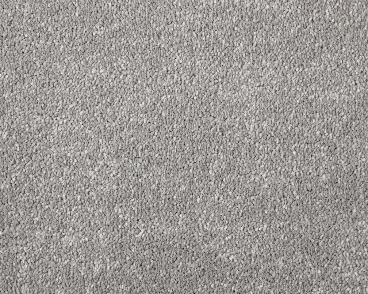 Trojan Elite Carpet