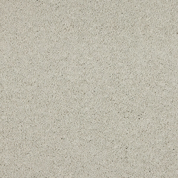 Seduction Carpet
