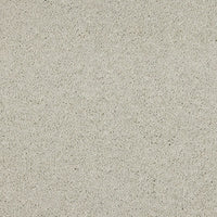 Seduction Carpet