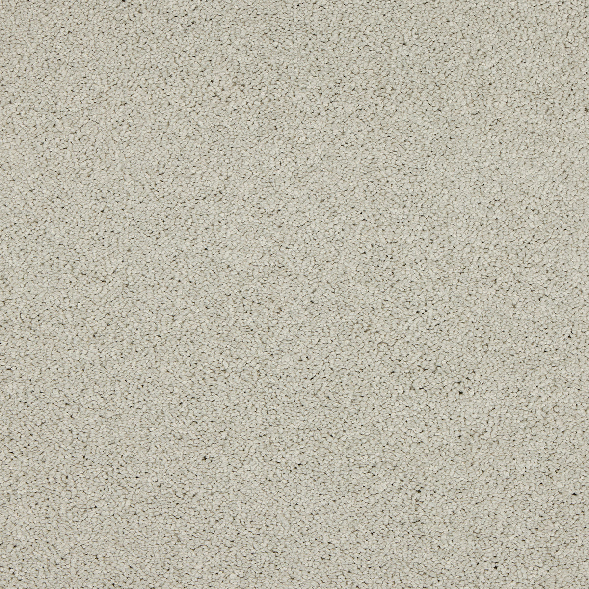 Opulent Living Carpet