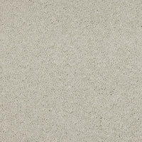 Opulent Living Carpet