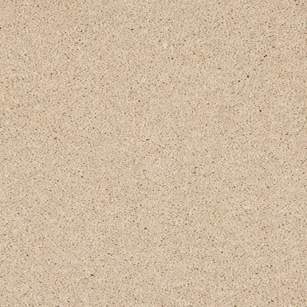 Seduction Carpet