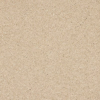 Seduction Carpet