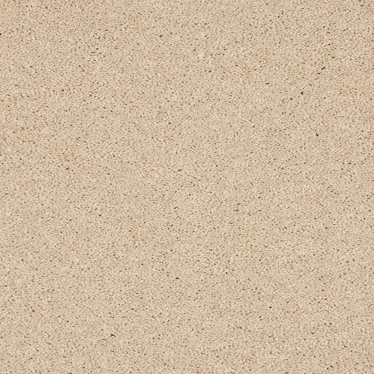 Opulent Living Carpet