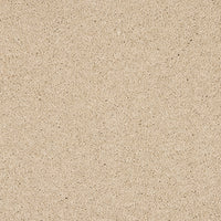 Opulent Living Carpet