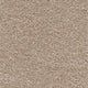 Sirius Carpet