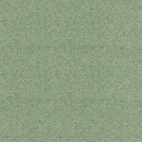 Spectrum Twist Classic 42oz Carpet