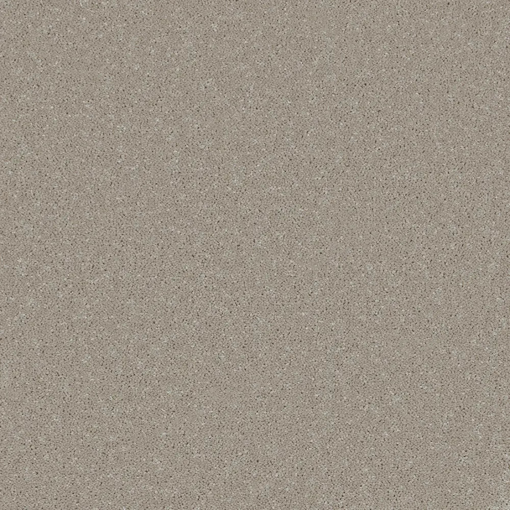 Trident Plains Carpet