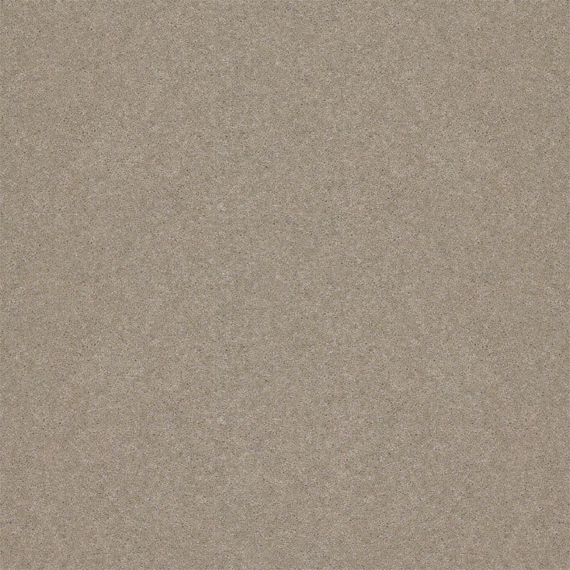 Spectrum Twist Regal 53oz Carpet