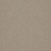 Spectrum Twist Regal 53oz Carpet