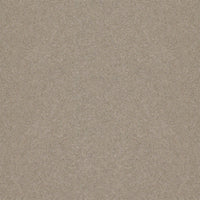 Spectrum Twist Classic 42oz Carpet