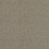 Spectrum Twist Classic 42oz Carpet