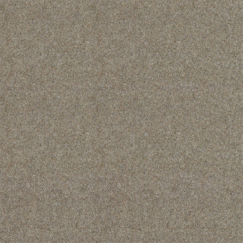 Spectrum Twist Regal 53oz Carpet