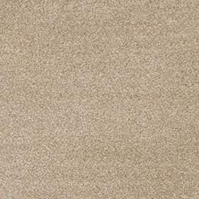 Invictus Darius 50oz Carpet